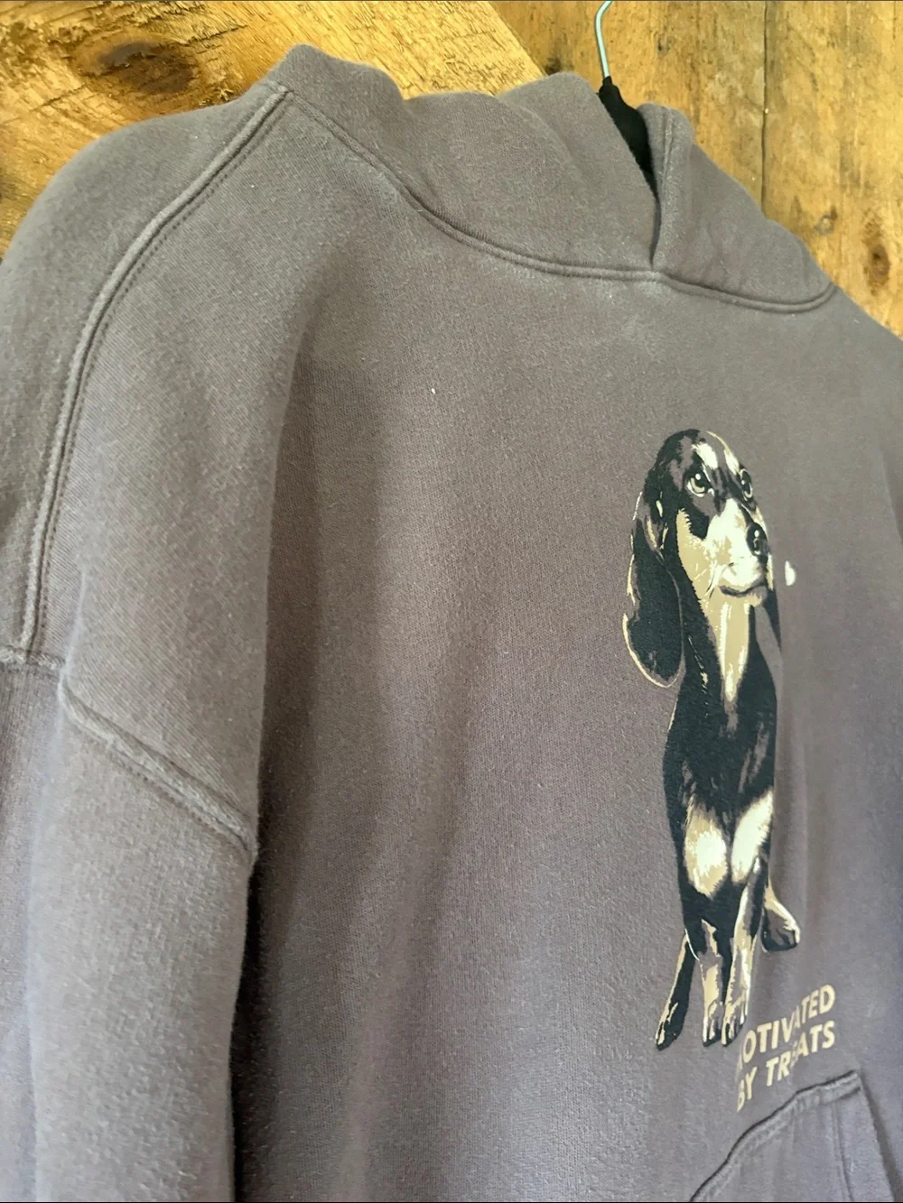 wild fable Brown Dog Graphic Hoodie - Picture 3 of 5